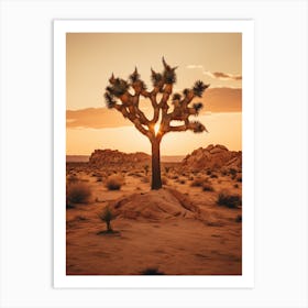  Photograph Of A Joshua Tree At Dusk In Desert 3 Art Print