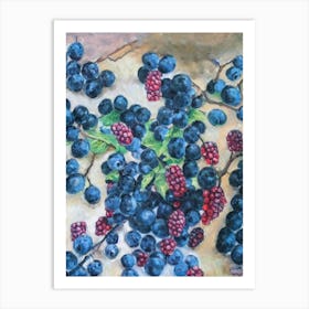 Blackberry Classic Fruit Art Print