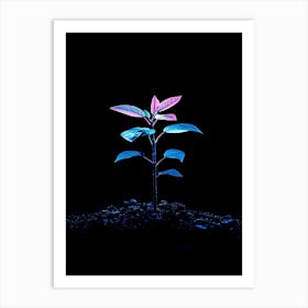 Plant Growing On Black Background 1 Affiche