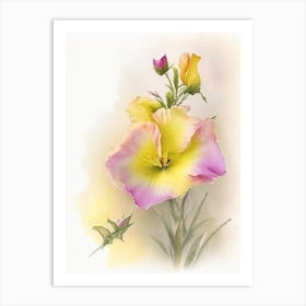 Evening Primrose Wildflower Watercolour 1 Art Print