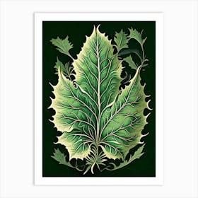Madder Leaf Vintage Botanical 1 Art Print
