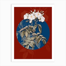 Vintage Botanical Musk Rose on Circle Blue on Red n.0151 Art Print