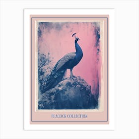 Blue & Pink Peacock Portrait 3 Poster Art Print