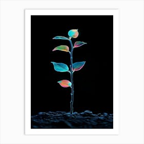 Plant Growing Out Of The Ground 3 Art Print