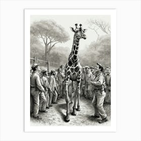 Giraffe 27 Art Print