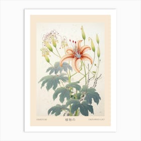 Himeyuri Okinawan Lily 4 Vintage Japanese Botanical Poster Art Print