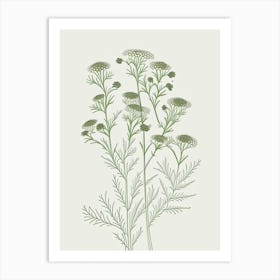 Camomile Herb William Morris Inspired Line Drawing 3 Art Print