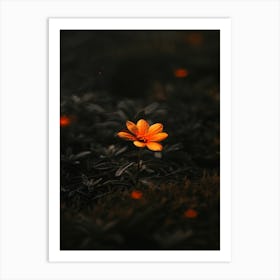 Orange Flower In The Dark Art Print