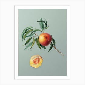 Vintage Peach Botanical Art on Mint Green n.0806 Art Print