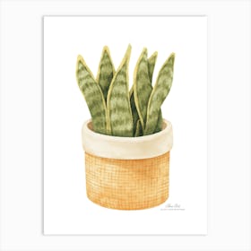 Aloe vera plant. Green plant. Beautiful plant. Thorns plant. Aloe vera flowers.23 Art Print