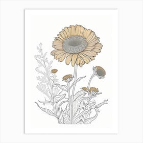 Calendula Herb William Morris Inspired Line Drawing 1 Art Print