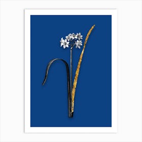 Vintage Cowslip Cupped Daffodil Black and White Gold Leaf Floral Art on Midnight Blue n.0086 Art Print