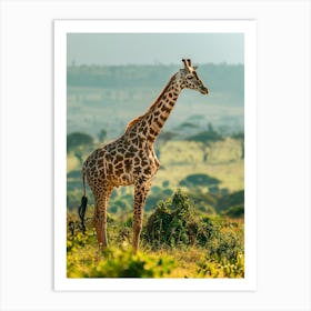 Giraffe In The Wild Art Print