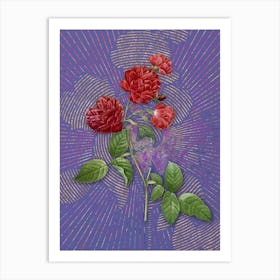 Vintage Red Cabbage Rose in Bloom Botanical Illustration on Veri Peri n.0718 Art Print