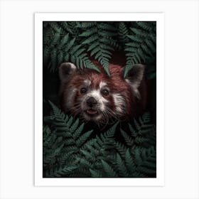 Cute Red Panda Art Print