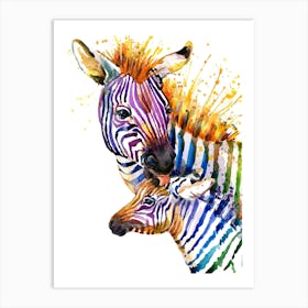 Watercolor Zebras Art Print