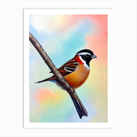 Sparrow Watercolour Bird Art Print