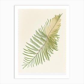 Cypress Leaf Illustration 2 Art Print