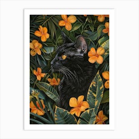 Black Cat In The Jungle 9 Art Print