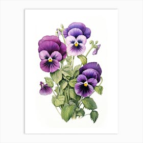 Pansies Flower Vintage Botanical 2 Art Print