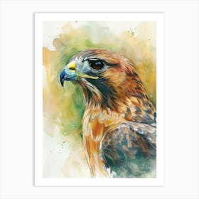 Hawk Pastel Watercolour 1 Affiche