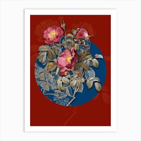 Vintage Botanical Rose of Love Bloom on Circle Blue on Red n.0257 Art Print