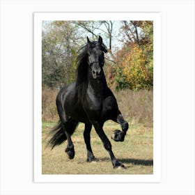 Black Horse Galloping Art Print