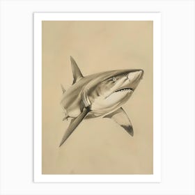 Bigeye Thresher Shark Vintage Illustration 3 Art Print