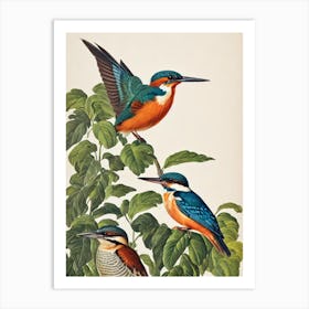 Kingfisher 2 James Audubon Vintage Style Bird Art Print