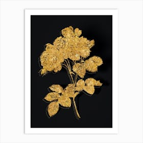 Vintage Pink Damask Rose Botanical in Gold on Black Art Print