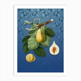 Vintage Common Fig Botanical on Bahama Blue Pattern n.0415 Art Print