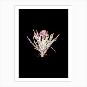 Stained Glass Pygmy Iris Mosaic Botanical Illustration on Black n.0089 Art Print