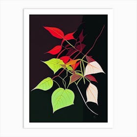 Western Poison Ivy Minimal Line Drawing 1 Art Print