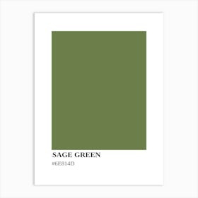 Sage Green Art Print