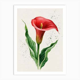 Calla Lily Art Print