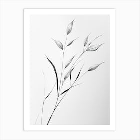 Black And White Drawing Of A Plant Art Print