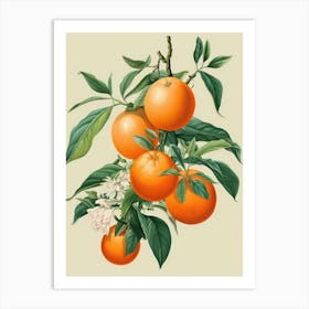 Oranges On A Branch 4 Art Print