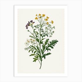 Vintage Botanical Galleria Style Wildflower Painting 29 Art Print