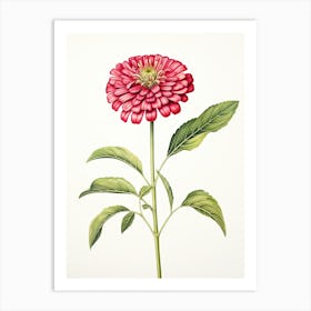 Zinnias Flower Vintage Botanical 0 Art Print