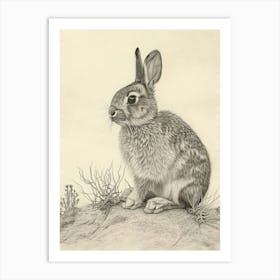 Netherland Dwarf Rabbit Drawing 4 Art Print