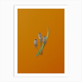 Vintage Meadow Squill Flower Botanical on Sunset Orange n.0334 Art Print