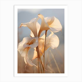 Boho Dried Flowers Calla Lily 1 Art Print