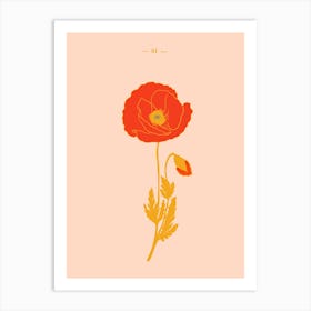 Vintage poppy botanical illustration Art Print