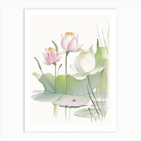 Lotus Flowers In Park Pencil Illustration 10 Art Print
