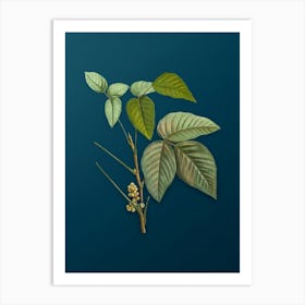 Vintage Eastern Poison Ivy Botanical Art on Teal Blue n.0592 Art Print