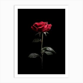 Single Red Rose On Black Background 3 Art Print