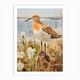 Bird Painting Dunlin 1 Art Print