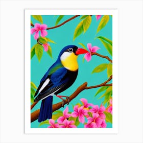 Baldpate Tropical bird Art Print