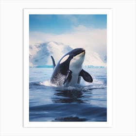 Icy Blue Realistic Photography Orca Whale 2 Art Print