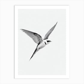 Swallow B&W Pencil Drawing 3 Bird Art Print